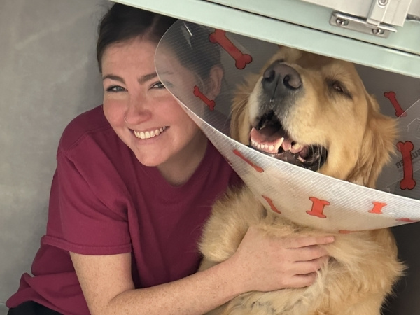A smiling person wearing a maroon shirt and black pants hugs a golden retriever wearing a cone decorated with bones. Another person is giving the dog an injection in its leg.