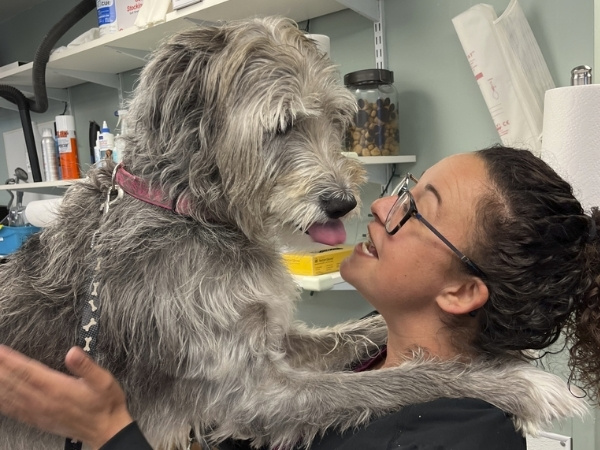 A person embraces a large, shaggy dog with a pink collar, looking up at each other affectionately in a room with shelves of supplies.