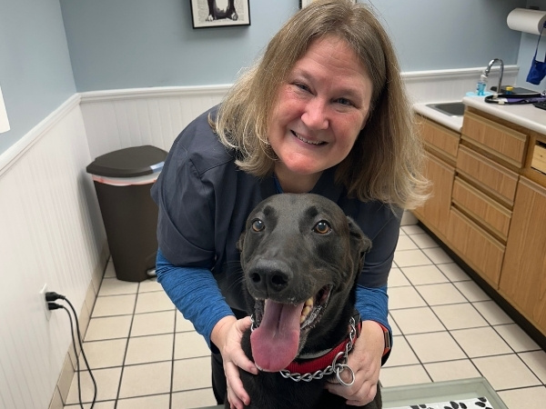 A veterinary professional smiles while posing with a black dog on an examination table. The dog has a blue bandage on its front leg.