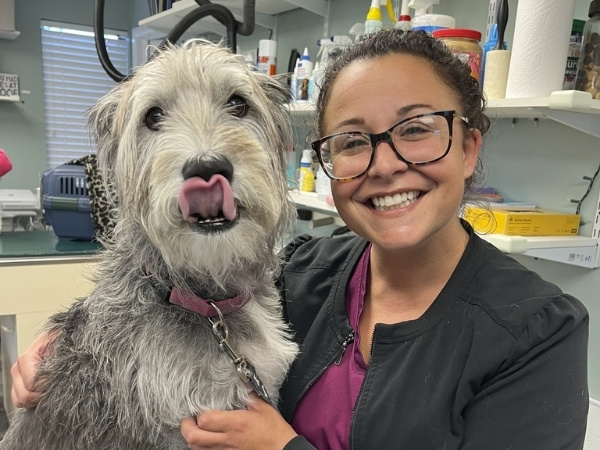 A person smiles while holding a shaggy grey dog with its tongue sticking out in what appears to be a grooming or veterinary setting.