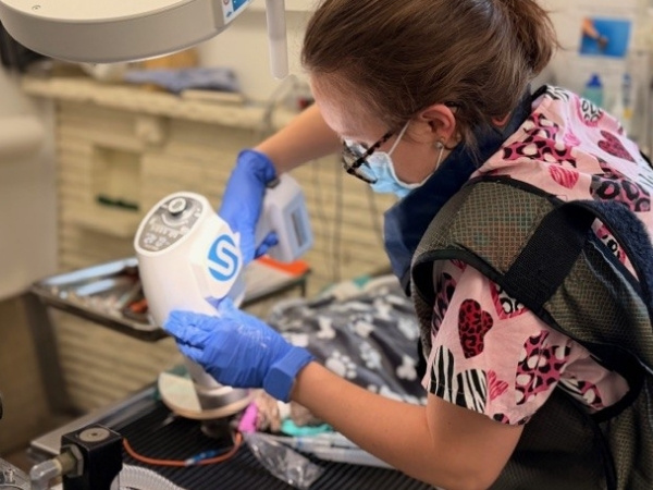 A person wearing blue gloves and a pink scrub top with hearts and zebras, and a protective vest, uses a handheld medical device over a patient on a table.