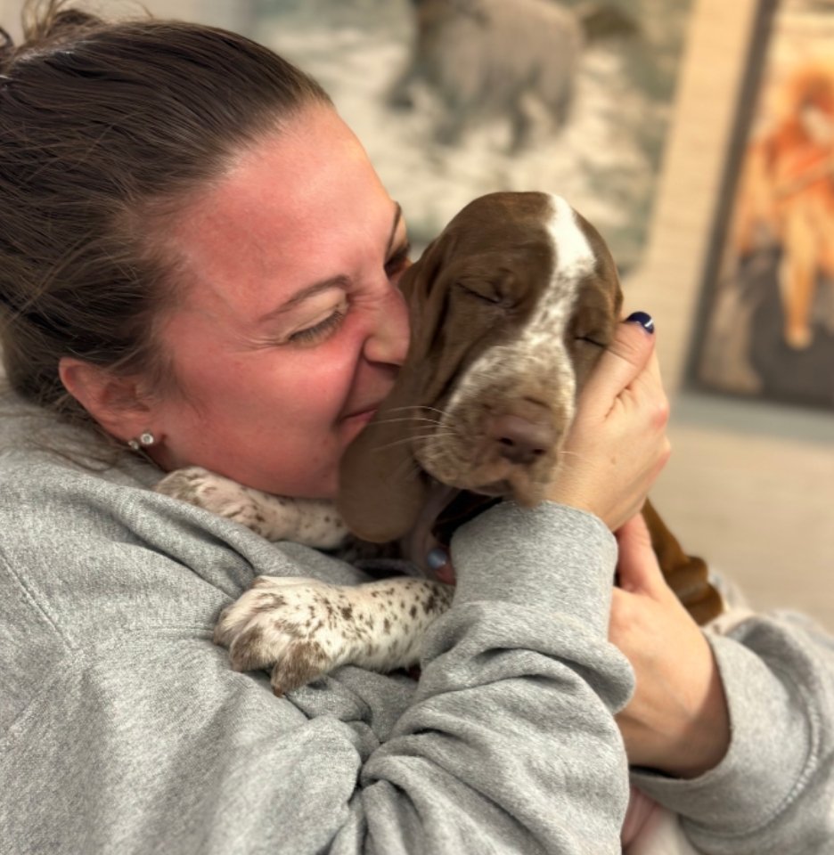 A person in a grey sweatshirt holds a brown and white spotted puppy, nuzzling its face against the puppy's cheek.
