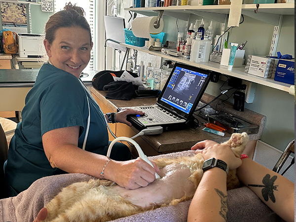 Danni doing a dog Ultrasound