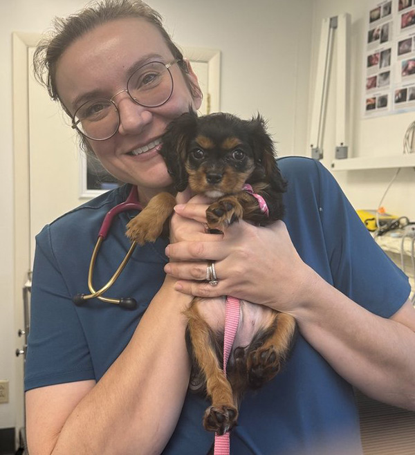 Dr. AB holding a dog