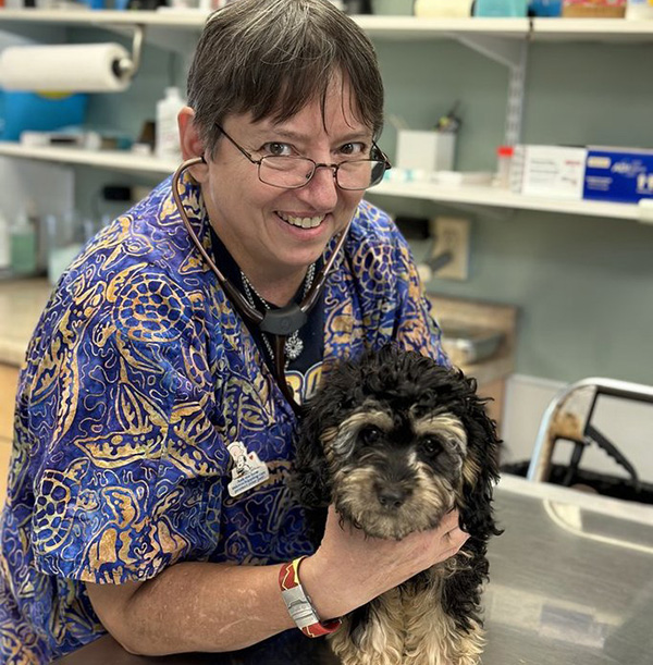 Two smiling people embrace while one holds a long-haired dachshund in a veterinary clinic environment.