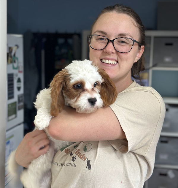 Four people sit on the floor, each holding a young puppy. The people are smiling and looking at the camera. The puppies are a mix of brown and white and appear to be Brittany Spaniels or similar breeds. They are in what looks like a veterinary clinic or animal shelter room with cabinets and storage units in the background.
