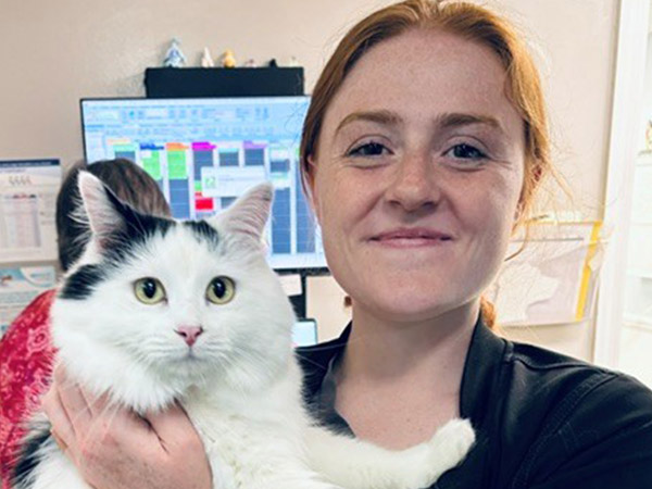 Savannah Vet Assistant