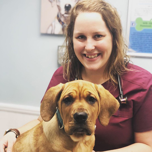 Veterinarian holds cute dog.